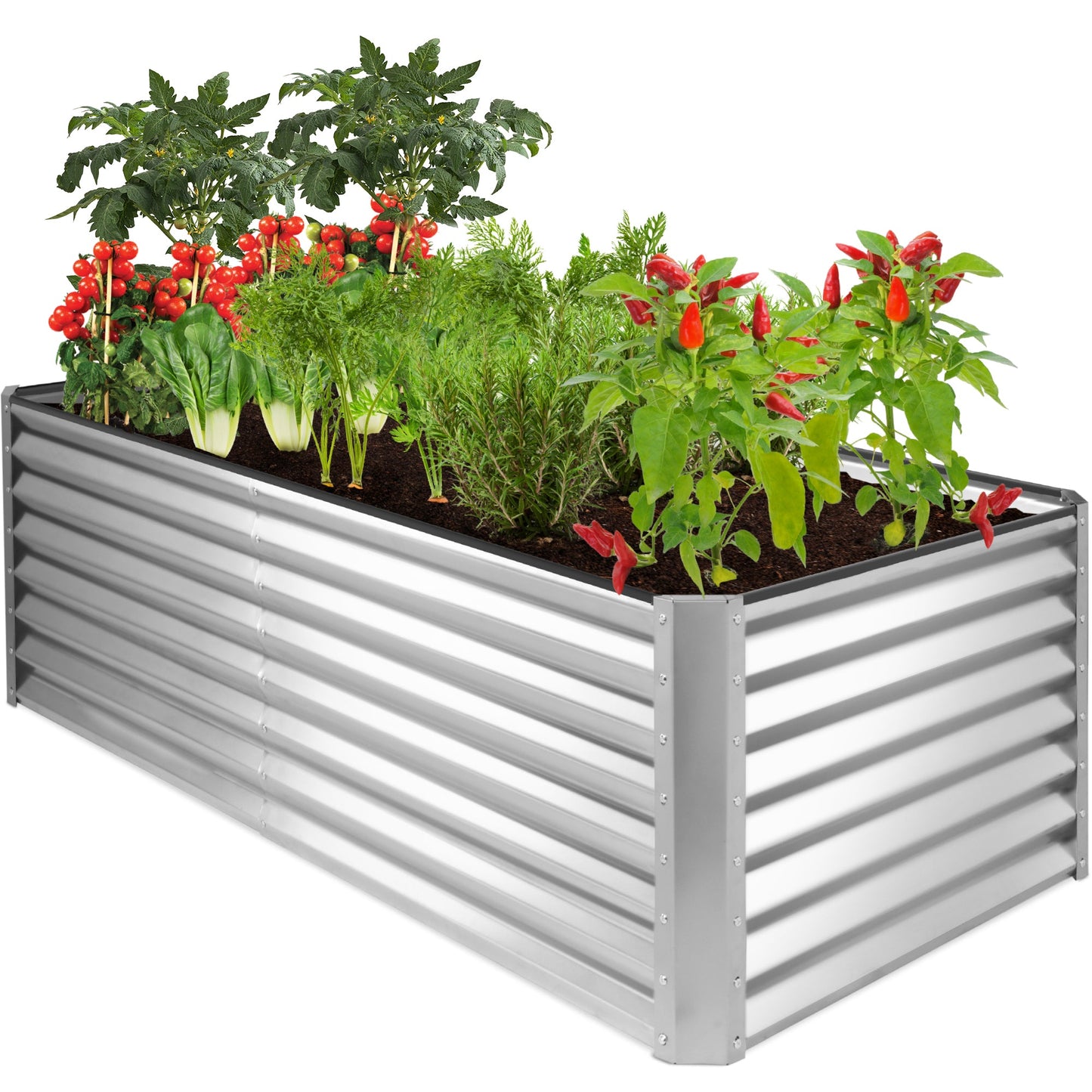 Outdoor Metal Raised Garden Bed for Vegetables Flowers Herbs - 6x3x2ft