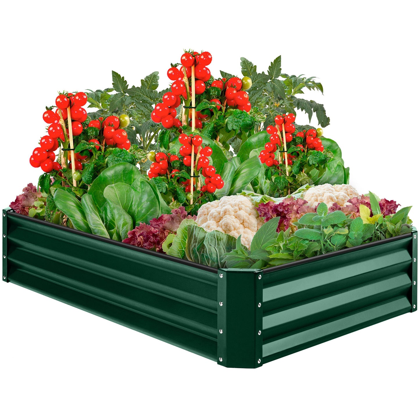Outdoor Metal Raised Garden Bed for Vegetables Flowers Herbs - 6x3x1ft
