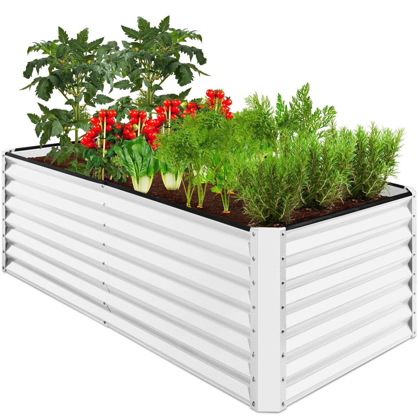 Outdoor Metal Raised Garden Bed for Vegetables Flowers Herbs - 6x3x2ft