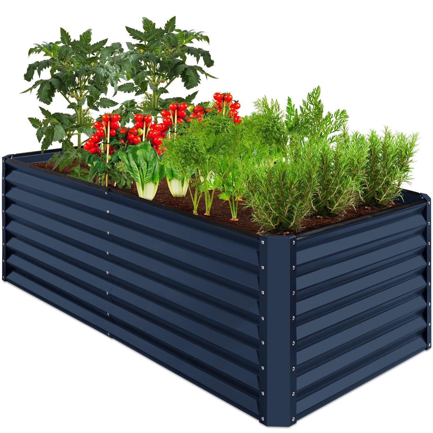Outdoor Metal Raised Garden Bed for Vegetables Flowers Herbs - 6x3x2ft